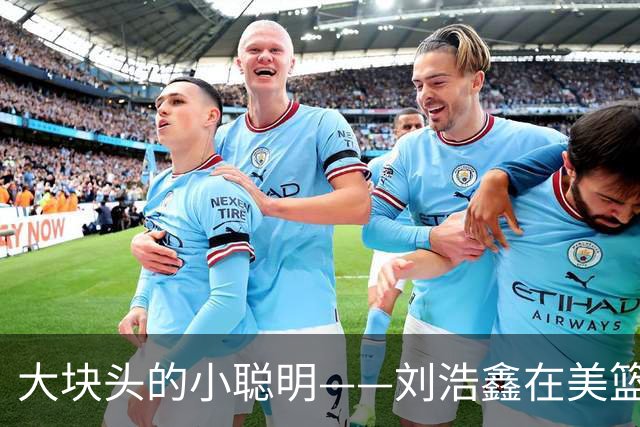 大块头的小聪明——刘浩鑫在美篮的成长故事