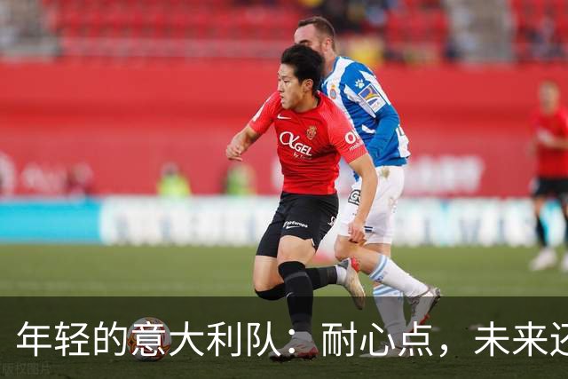年轻的意大利队：耐心点，未来还会更精彩！
