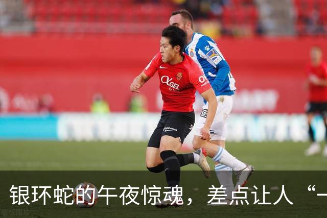 银环蛇的午夜惊魂，差点让人“一觉不醒”！