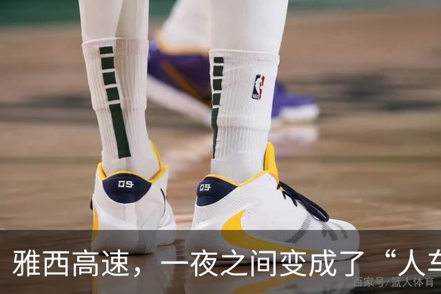 雅西高速，一夜之间变成了“人车共舞的盛宴